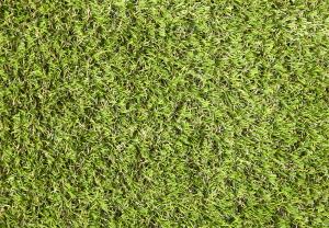 Rouleau Césped - Easy Lawn Anica - Césped synthétique premium