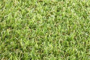 Rouleau Gazon - Star Lawn Camellia - Gazon synthétique premium