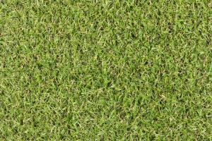 Rouleau Gazon - Star Lawn Camellia - Gazon synthétique premium