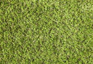 Rouleau Gazon - Easy Lawn Anica - Gazon synthétique premium