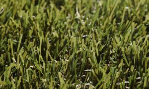 Rouleau Gazon - Easy Lawn Botanic - Gazon synthétique premium