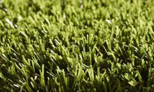 Rouleau Gazon - Easy Lawn Rosemary - Gazon synthétique premium