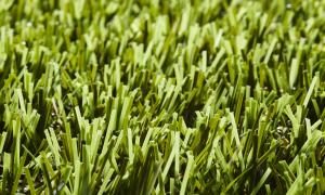 Rouleau Gazon - Easy Lawn Sage - Gazon synthétique premium