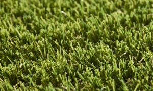 Rouleau Gazon - Easy Lawn Valeria - Gazon synthétique premium