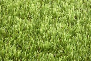 Rouleau Gazon - Easy Lawn Verbena - Gazon synthétique premium