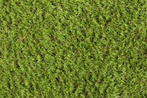 Rouleau Gazon - Easy Lawn Verbena - Gazon synthétique premium