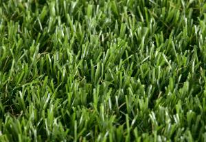 Rouleau Gazon - Conford Lawn Castor - Gazon synthétique premium
