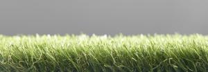 Rouleau Gazon - Conford Lawn Castor - Gazon synthétique premium