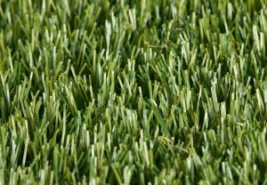 Rouleau Gazon - Easy Lawn Polaris - Gazon synthétique premium