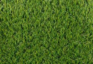 Rouleau Gazon - Easy Lawn Polaris - Gazon synthétique premium