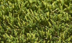 Rouleau Gazon - Pro Lawn Multilane - Gazon synthétique premium