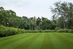 Rouleau Gazon - Pro Lawn Multilane Lux - Gazon synthétique premium