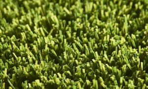 Rouleau Gazon - Pro Lawn Forence - Gazon synthétique premium