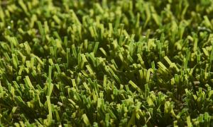 Rouleau Gazon - Pro Lawn Sirius - Gazon synthétique premium